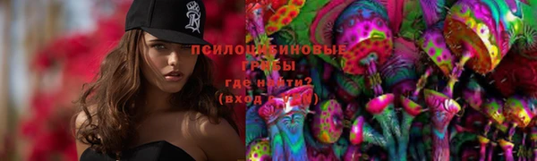 mdpv Алзамай