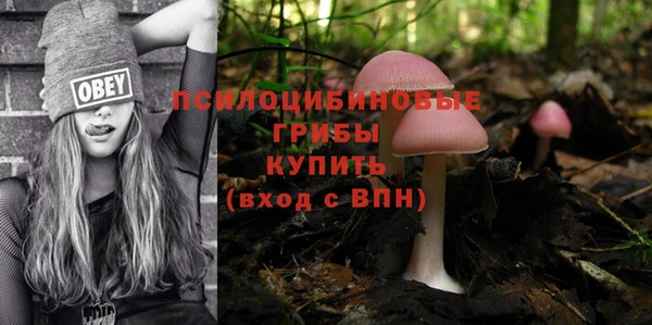 спайс Ветлуга