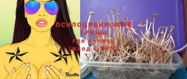 mdpv Алзамай
