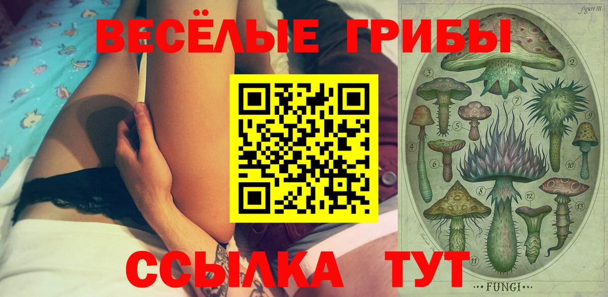 Псилоцибиновые грибы Magic Shrooms Кореновск